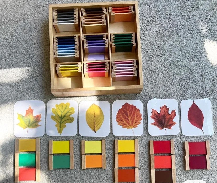 Montessori Materials