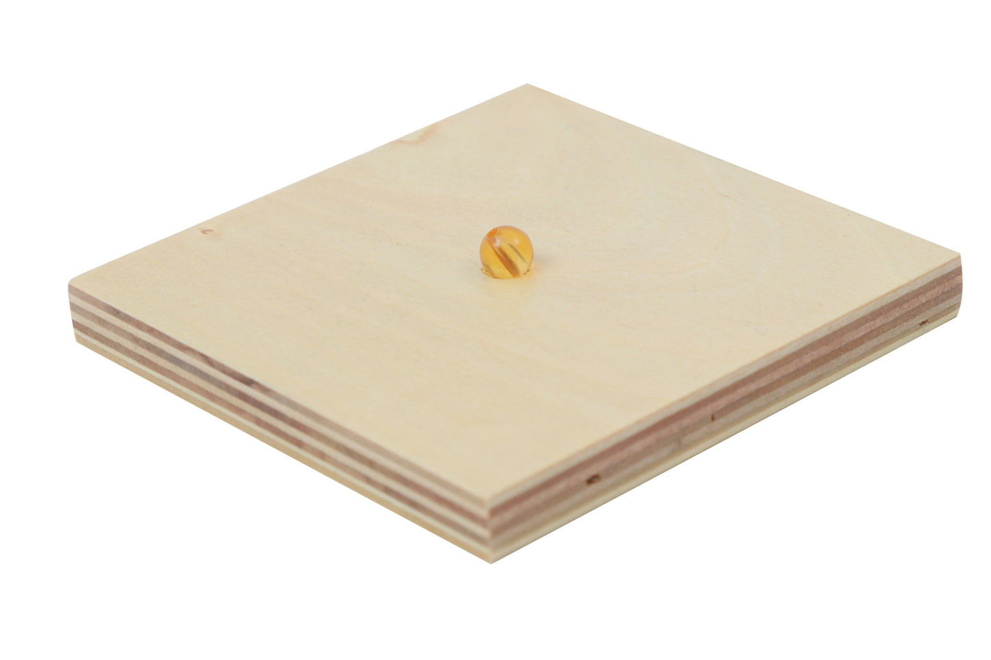 Introduction to Decimal Quantity with Trays